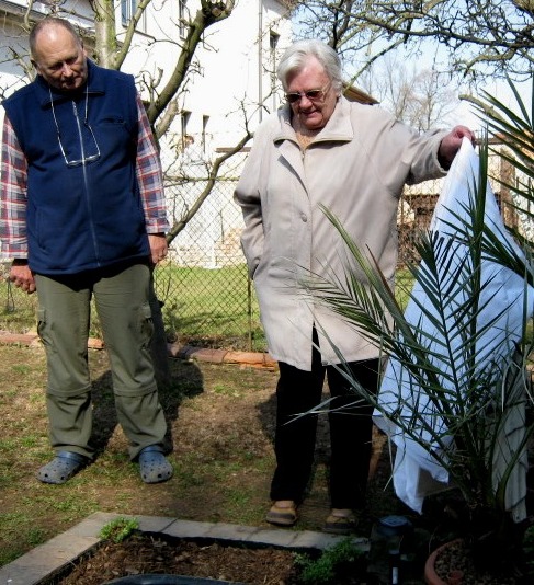 42 - OBR_0006.jpg, 136kB